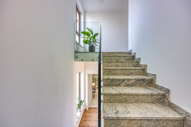 Moderne Treppe mit Pflanzen, Kunst und Glasgeländer.