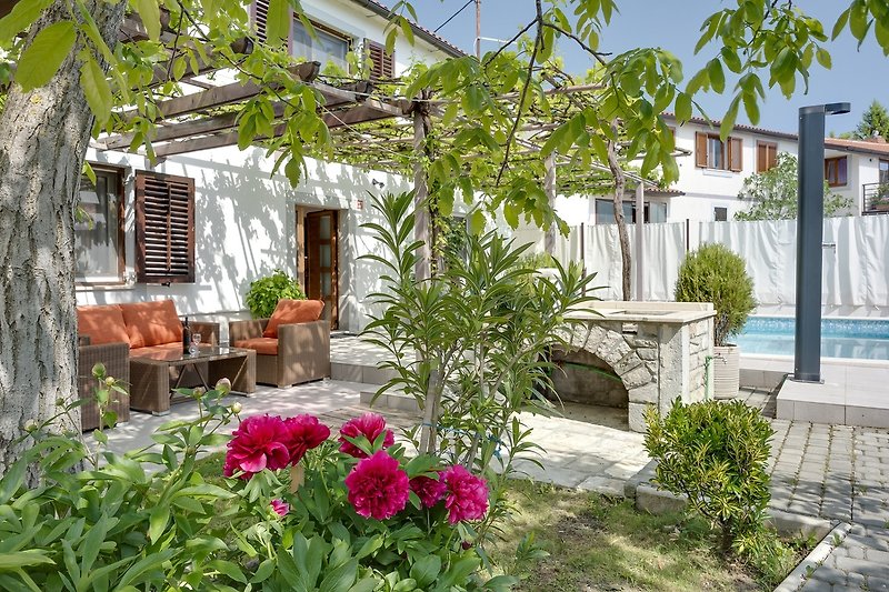 Gemütlicher Garten mit blühenden Pflanzen und einem charmanten Haus.