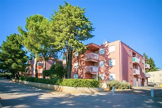 Morena Novigrad