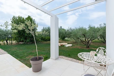 Villa Oliveti