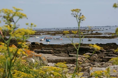 Ferienhaus Ty Braz Finistere + Hund