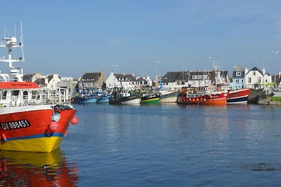 Ferienhaus Ty Bihan finistere +Hund