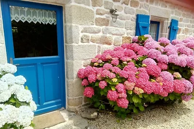 Ferienhaus Ty Braz Finistere + Hund