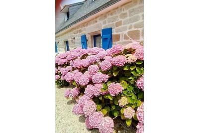 Ferienhaus Ty Braz Finistere + Hund