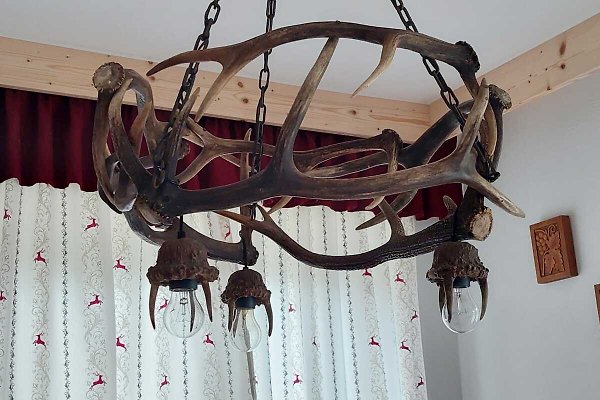 Ferienwohnung Wald im Pinzgau