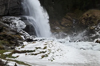 Landhaus FRITZ - FeWo Almhütte