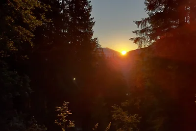 Landhaus FRITZ - FeWo Almhütte