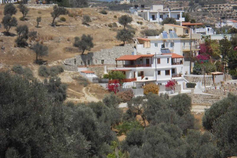 Villa Leonidas in the village Pitsidia