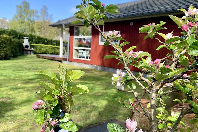 Holzhaus mit eigezäuntem Garten