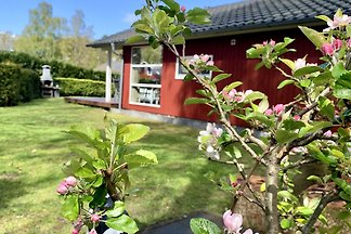 Zeer rustige plek met modern vakantiehuis.