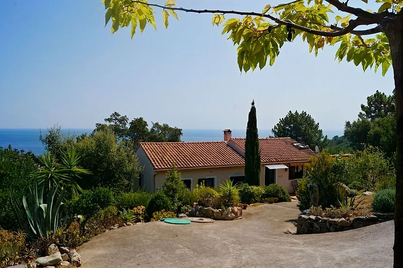 Villa DOMISENAL