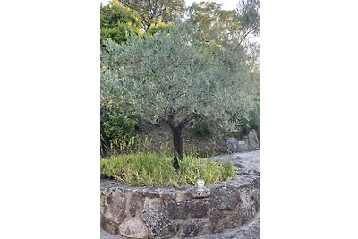 Villa DOMISE