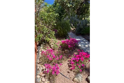 Üppiger Garten Üppiger Garten