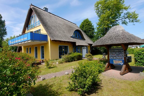 Frau C. Höft Frau C. Höft