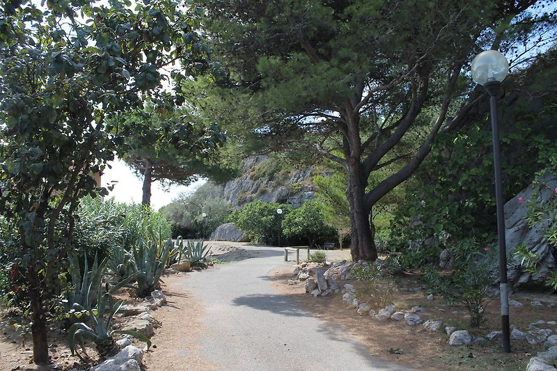 Idylliczny krajobraz śródziemnomorski w górach La Clape