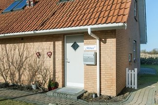 HAUS MÖWE