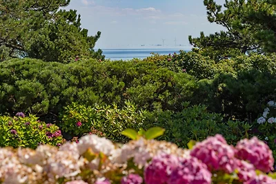 Casa vacanze Vacanza di relax List