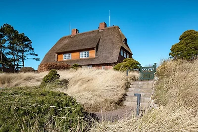 Vakantiehuis Ontspannende vakantie List