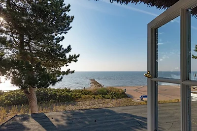 Blidselkieker