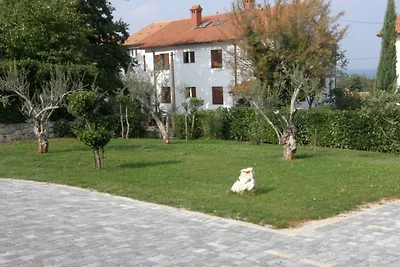 Marica im Malinska, Insel Krk
