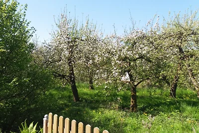 Ferienhaus im Obstgarten
