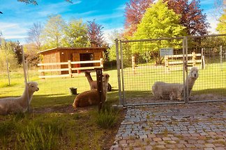 Ferienwohnung Böttcher