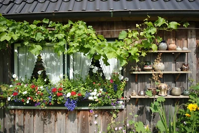 La piccola casa di campagna