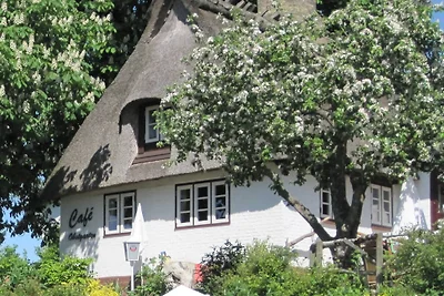 Vakantiehuis Ontspannende vakantie Kappeln