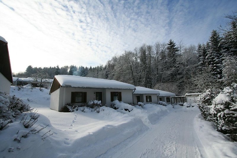 Winterliches Haus mit verschneitem Dach, umgeben von Bäumen und Bergen.