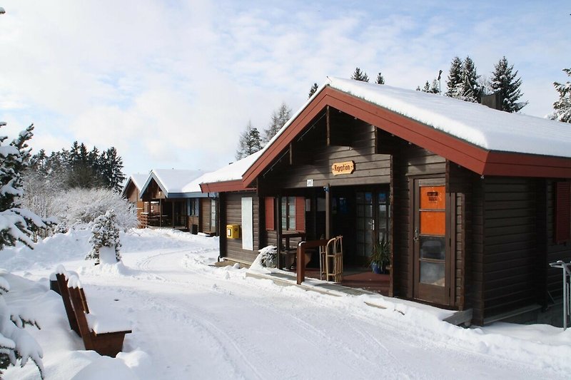 Winterliches Holzhaus mit verschneitem Dach und malerischer Berglandschaft.