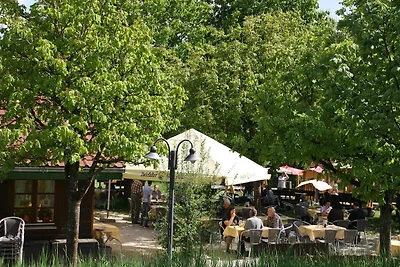 Ferienhaus im Ferienpark Lauterdörfle