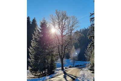 Ferienhaus am Rennsteig/Sauna/WLAN