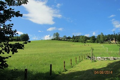 Vakantiehuis Ontspannende vakantie Krispl