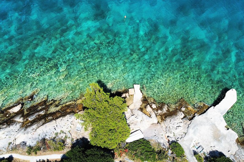 Villa Marela beach with pine tree and crystal sea