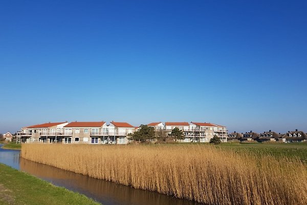 Ferienwohnung Julianadorp aan Zee