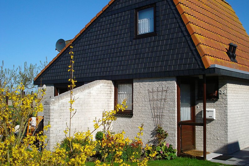 Graues Haus mit Schieferdach und Garten im Hinterhof.