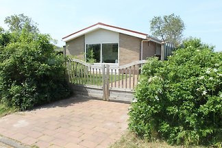 Zilvermeeuw