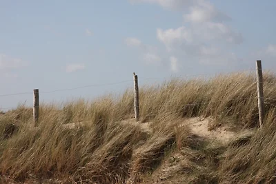 Het Coraaltje