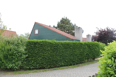 Het Coraaltje