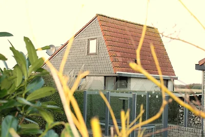 Tulpenzicht
