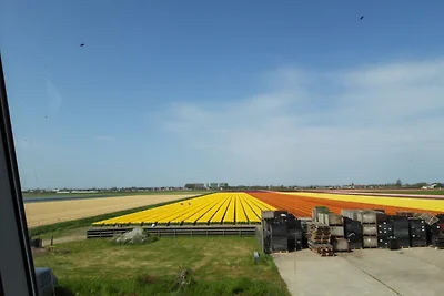Huisje Bloemenpracht