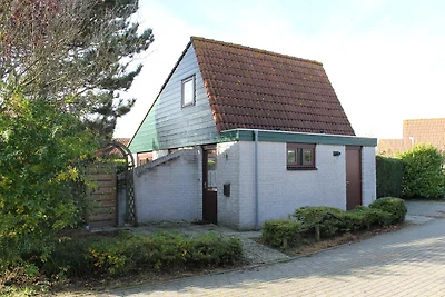 Het Coraaltje