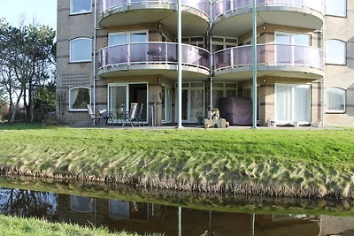 Duinroos