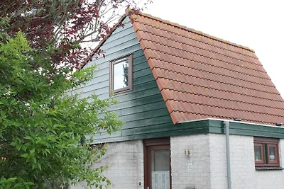 Het Coraaltje