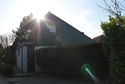 Het Coraaltje