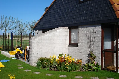 Tulpenzicht