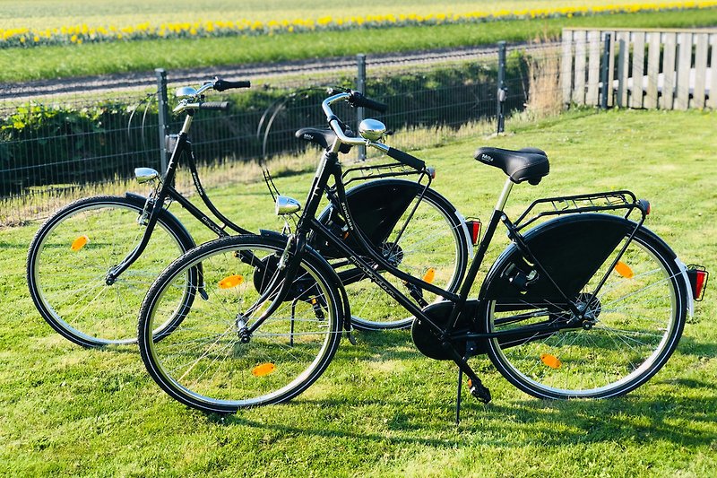 2 rowery holenderskie