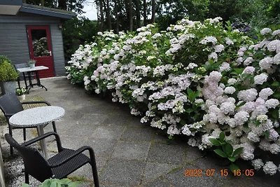 Vakantiebungalow Catrijp****