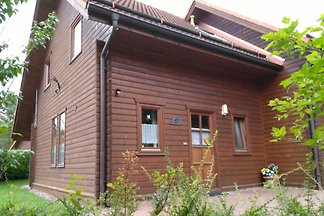 HARZBIENE - Haus 17 - Blauvogel