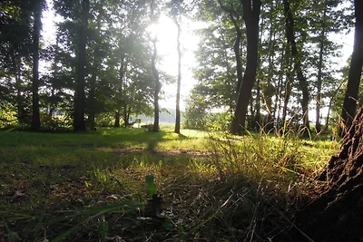 Appartamento per vacanze vicino alla foresta piano terra